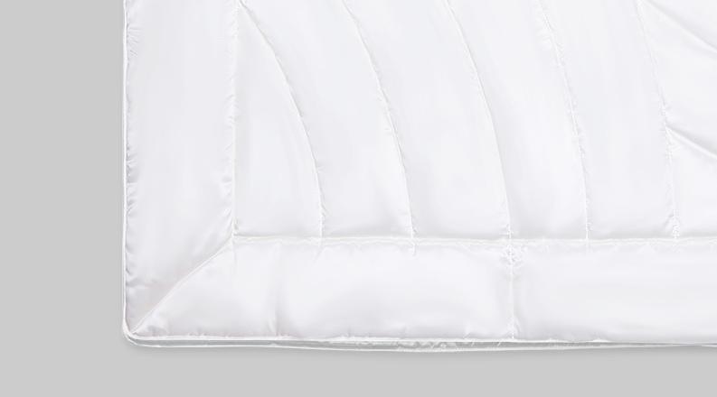 菁英丝绒 - ELITE SUMMER SILK