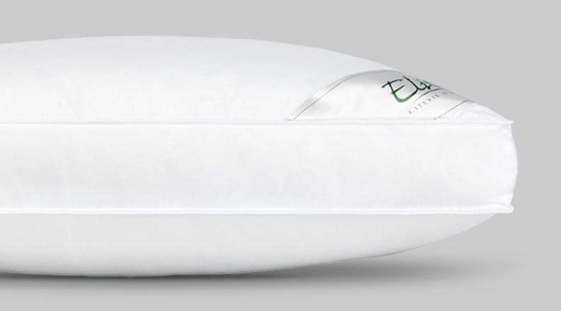 菁英护颈1号 - EASYCARE DOUILLET