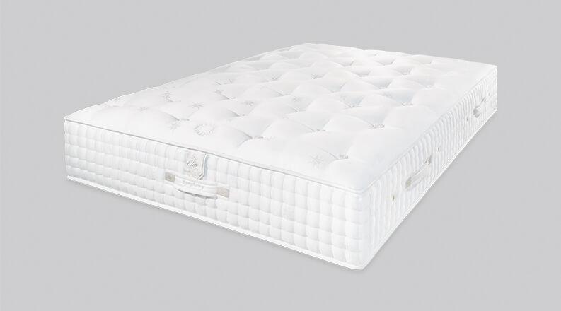 新菲尼 - SYMPHONY