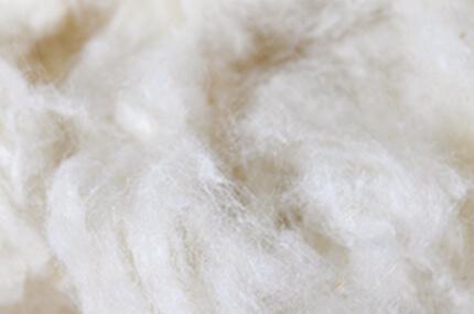 Symphony raw materials: Swiss wool