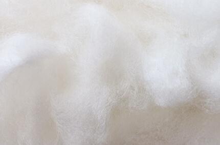 Harmony Raw Materials: Lyocell